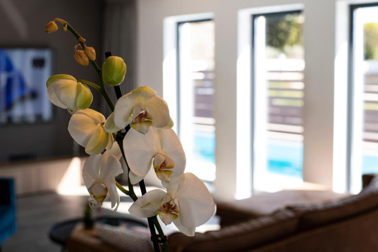 Marcante Family Villa With A Pool Poreč Buitenkant foto